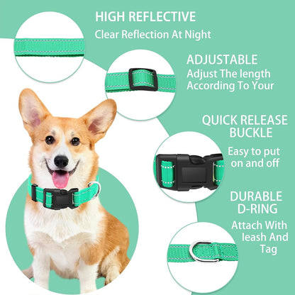 Reflective Dog Collar with Safety Locking Buckle, Adjustable Soft Breathable Nylon Collars for Small, Medium and Large Dogs(Collar+Leash XS Width 5/8" Turquoise) | Adjustable Soft Breathable Nylon Collars for Small, Medium and Large Dogs (XS Width 5/8" Turquoise)2