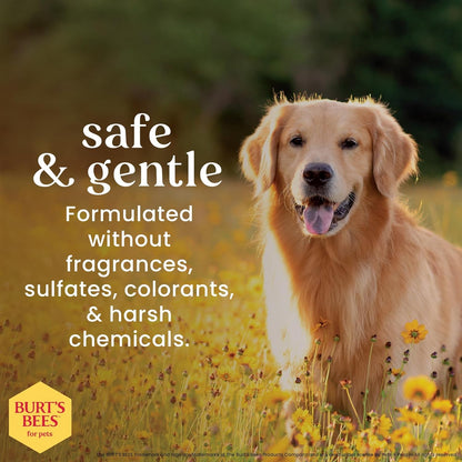 Burt'S Bees for Pets Honey Multipurpose Dog Grooming Wipes Gentle Hypoallergenic Spot Cleaning Sheets Ph Balanced Natural Origin Formula for Paws Face and Butt 50 Count 2 Pack Natural Grooming2