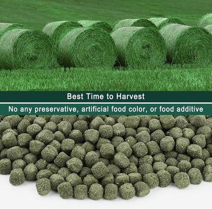 Timothy Hay Cubes, 6Oz Small Pet Feed | 100% Natural Timothy Hay Cubes, Specially for Rabbits, Sulcata Tortoises, Guinea Pigs5