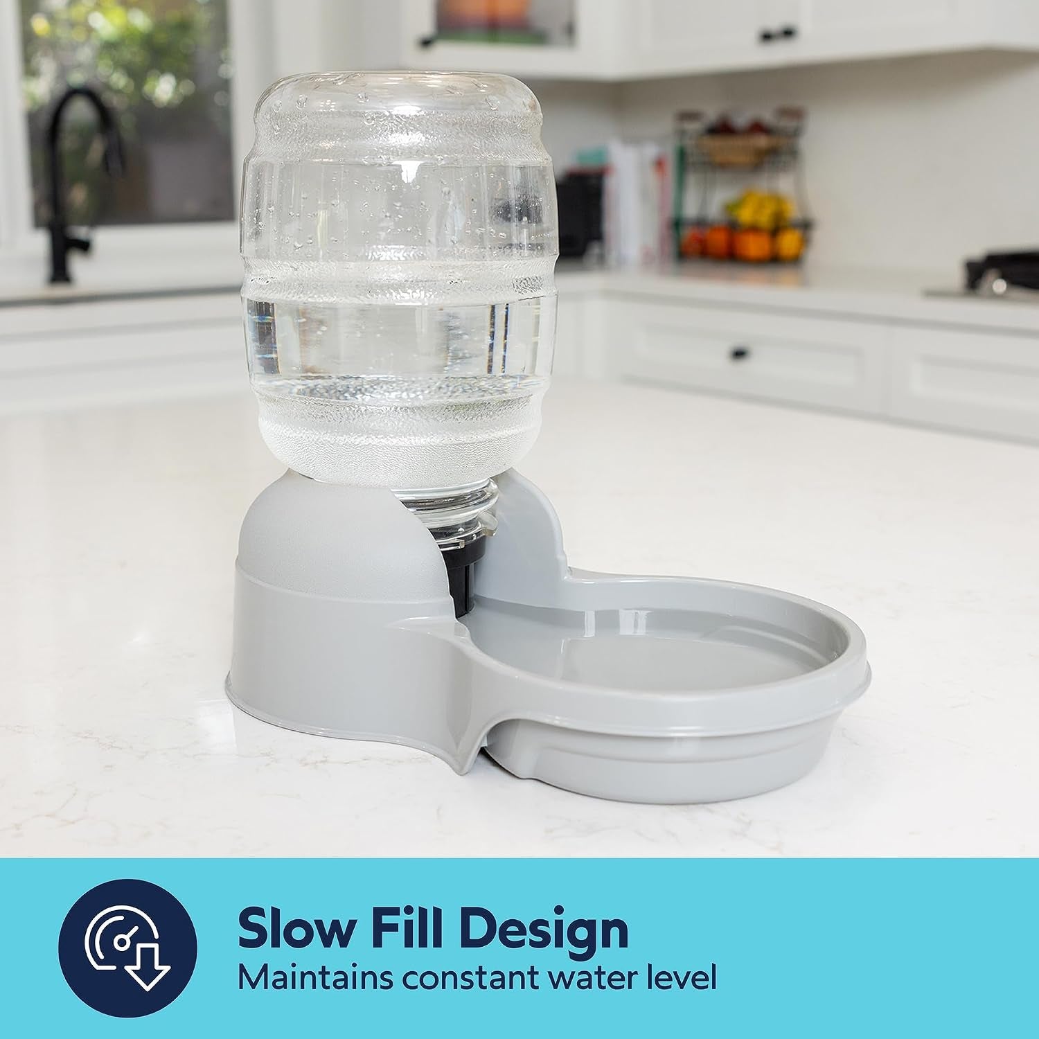 aspen-pet-lebistro-cat-and-dog-water-dispenser-made-in-usa