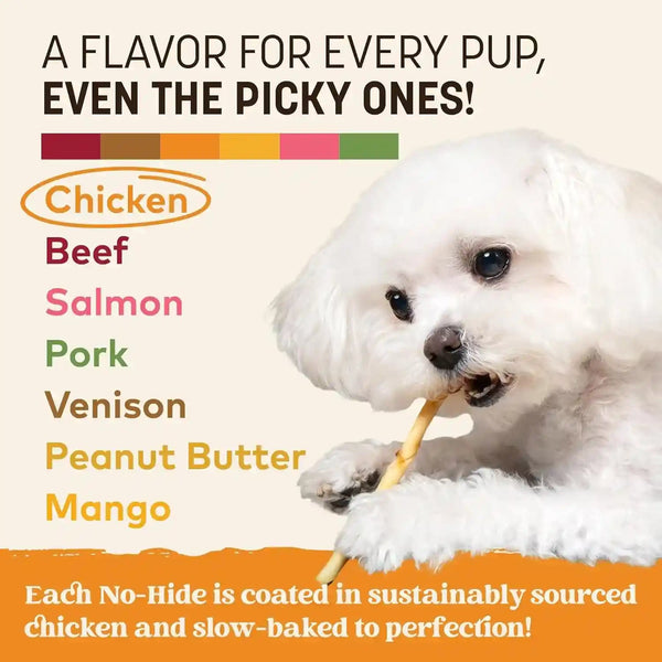 Earth Animal No Hide Stix - Rawhide Free Dog Chews Sticks 10 Count Chicken | Small Sticks Chicken Flavored Natural Rawhide Free Long Lasting Dog Chews - Treats for Small Dogs and Cats5