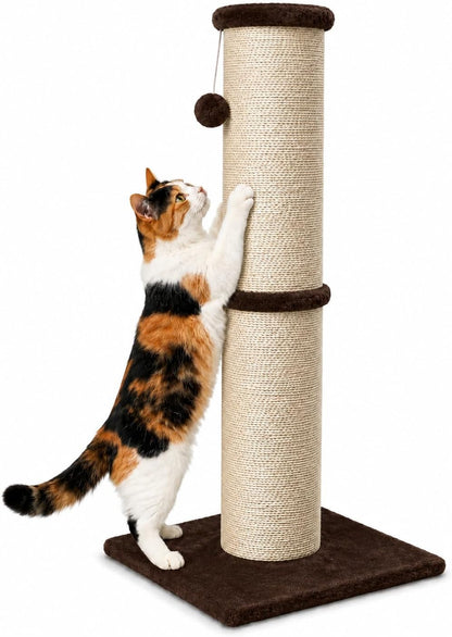 PAWSCRAT 32-Inch Tall Cat Scratching Post, 5.5-Inch Diameter, Sisal, Beige | Natural Sisal Scratching Surface with a Dangling Ball for Indoor Cats, Scratch-Resistant Durable and Protect Your Furniture16