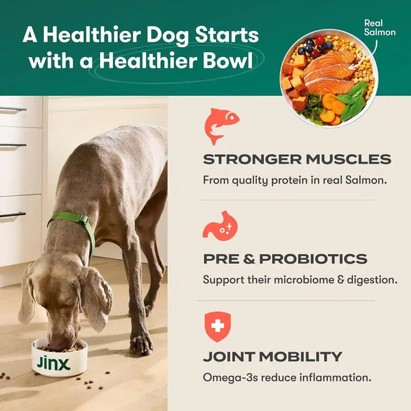 Jinx Grain Free Dry Dog Food - Real Salmon, Sweet Potato & Carrot, 4Lb | Premium Kibble for Digestive Support & Healthy Immunity - No Fillers, All Lifestages (Puppy, Adult & Senior), Breeds & Sizes3