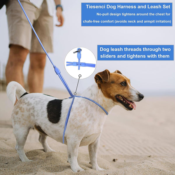 9-In-1 Hands Free Dog Leash Crossbody/Waist Blue Small Dogs | Adjustable, Waterproof No-Pull Dog Collar/Harness/Leash Set, Heavy Duty, Slip Lead, Fits 8-120Lbs6