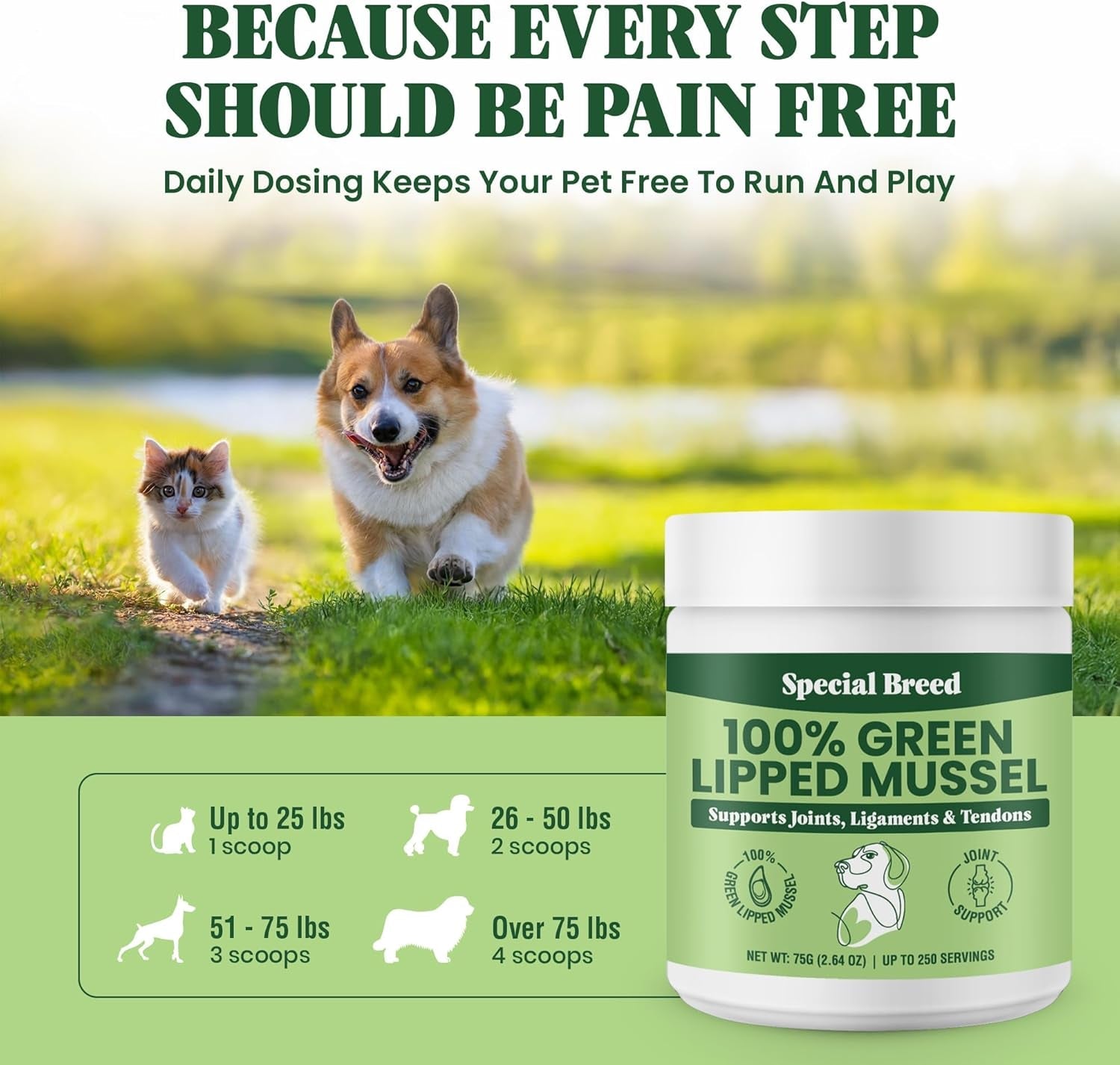 green-lipped-mussel-powder-for-dogs-cats-100-new-zealand-green-lipped-mussels-natural-hip-joint-supplement-for-joints-tendons-ligaments-muscles-75-grams-up-to-250-servings