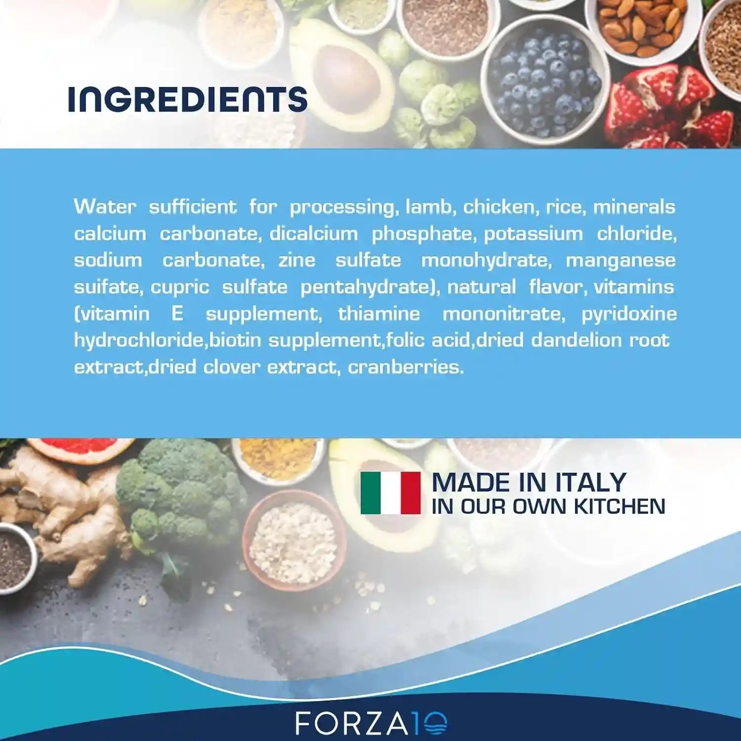 forza10-renal-wet-dog-food-for-adult-dogs-3-5-oz-12-pack-lamb-flavor-actiwet-renal-support-vet-formulated-with-cranberries-dried-dandelion-and-dried-clover-non-gmo-made-in-italy
