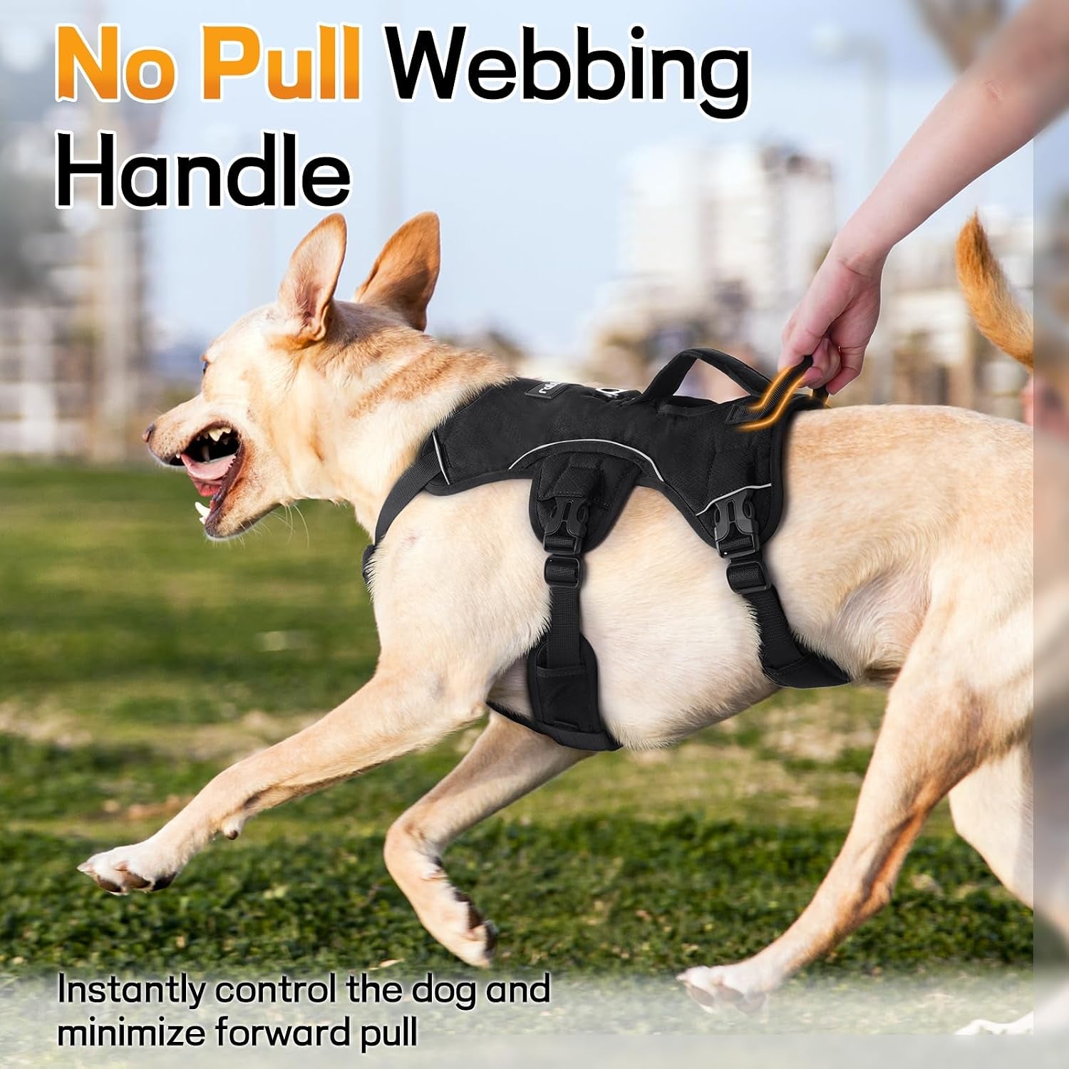 rabbitgoo-escape-proof-dog-harness-for-large-no-pull-with-lift-handle-no-escape-full-soft-padded-reflective-adjustable-vest-leash-clip-for-walking-hiking-training-black-large