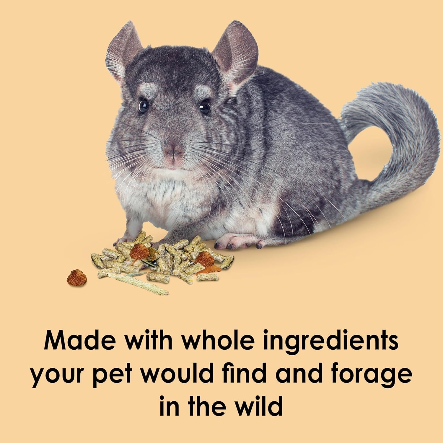 kaytee-food-from-the-wild-chinchilla-3-pounds