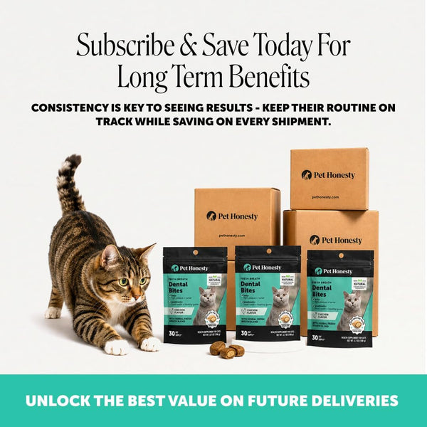 Fresh Breath Dental Bites for Cats – Crunchy & Creamy Cat Dental Treats for Fresh Breath, Tartar & Plaque Control – Dual-Texture Cat Oral Care Bites for Bright Teeth & Healthy Gums – 30 Day Supply5