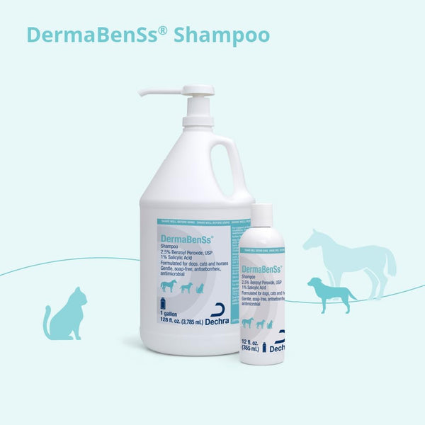 Dermabenss® Shampoo for Dogs, Cats and Horses, 12 Fl Oz | Gentle, Soap-Free, Antiseboerrhetic, Antimicrobial; 2.5% Benzoyl Peroxide, USP; 1% Salicylic Acid; Packaging May Vary5