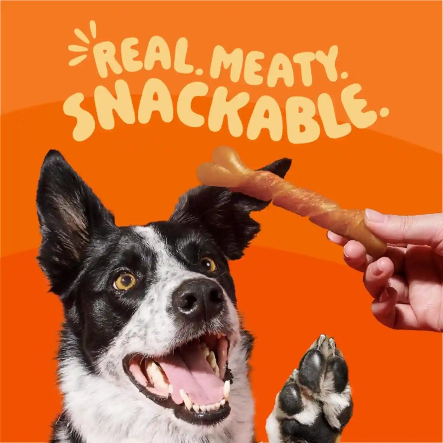 oinkies-chicken-wrapped-lasting-chew-bone-dog-treats-25-ct