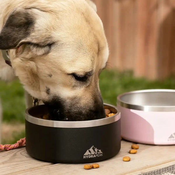Hydrapeak Dog Bowl; Non Slip Stainless Steel; Water and Food Dish; Large Sized and Small Dogs; 32Oz 64Oz; Multiple Sizes; 4 Cup | White6