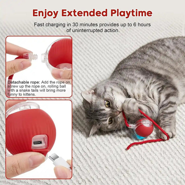 Interactive Dog & Cat Electric Active Toys, Smart Rolling Ball for Dogs & Cats, 360° Smart Automatic Rolling Pet Ball, Fast Moving Toy for Bored Indoor Kitty, Rechargeable(Red)5