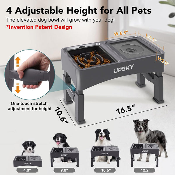 UPSKY 2-In-1 Elevated Dog Bowls Slow Feeder, 4 Height Adjustable Raised Bowl Stand, No Spill Dog Water Bowls, Anti-Slip Food and Water Bowls for Small Medium Dogs(Not Include Stainless Steel Bowl)2