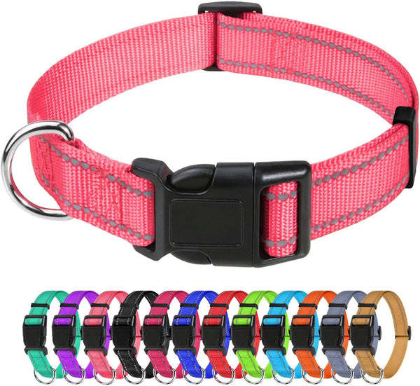 Tagme Small Dog Collar, Reflective Puppy Collar, Sky Blue, 3/8" Width | Lightweight, Nylon Collar for Puppies, Chihuahua, Yorkie & Teacup Dogs 5-15 Lbs, Reflective for Evening Walks, 12 Colors31