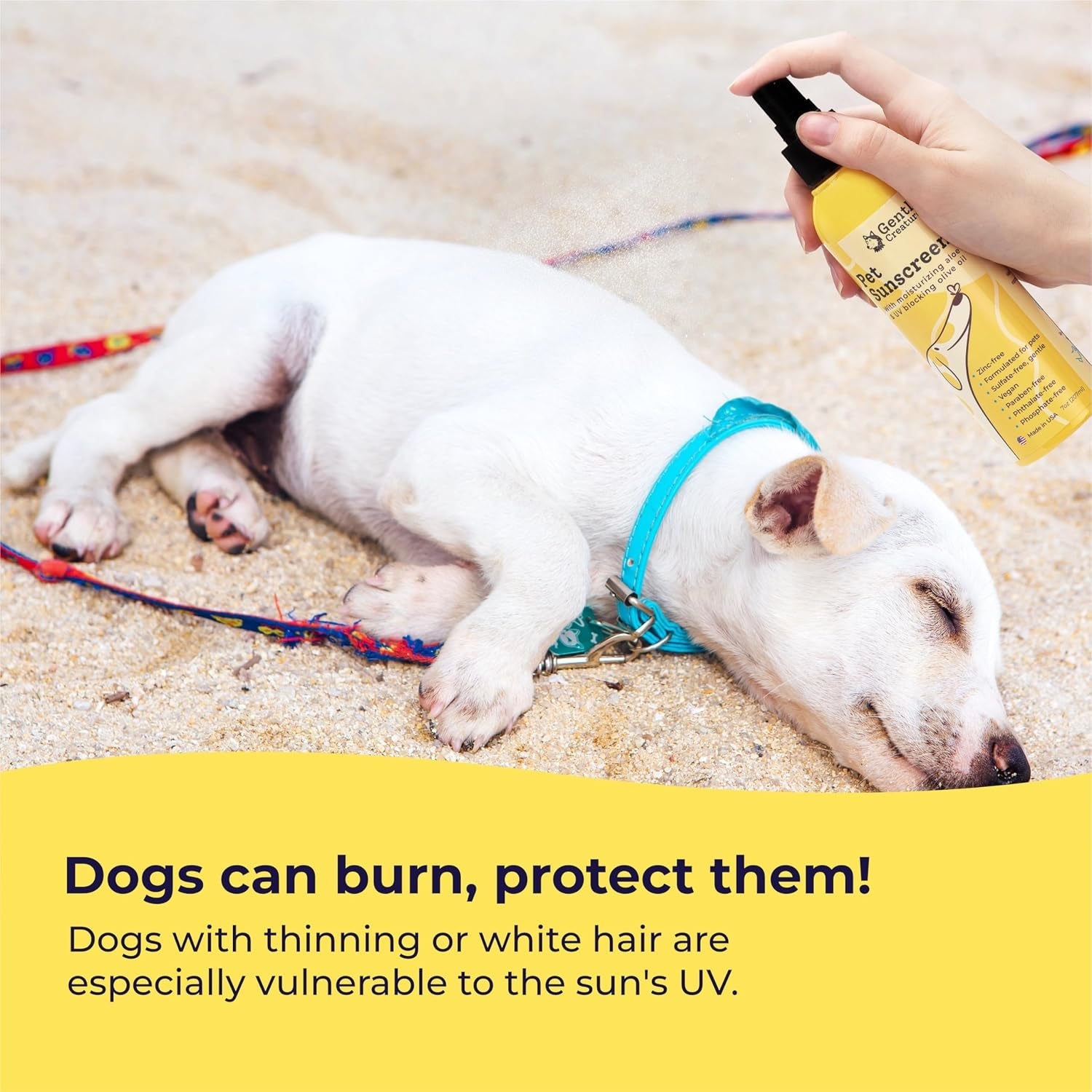 gentle-creatures-pet-sun-protector-dog-sunscreen-spf-30-eq-skin-moisturizing-vitamin-e-olive-oil-no-zinc-oxide-safe-for-dogs-and-cats-dog-beach-camping-accessories-sunscreen-for-white-dogs