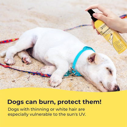 Gentle Creatures Pet Sun Protector - Dog Sunscreen SPF 30+ Eq - Skin Moisturizing Vitamin E, Olive Oil - No Zinc Oxide Safe for Dogs and Cats - Dog Beach, Camping Accessories, Sunscreen for White Dogs3