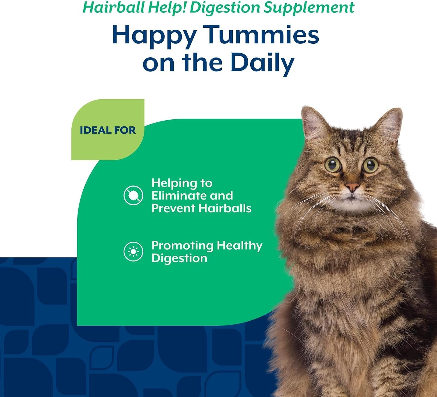 naturvet-scoopables-hairball-aid-for-cats-helps-prevent-eliminate-hairballs-psyllium-husk-pumpkin-salmon-flavored-cat-health-supplement-tastes-like-treats-prevents-hairballs-5-5oz-bag
