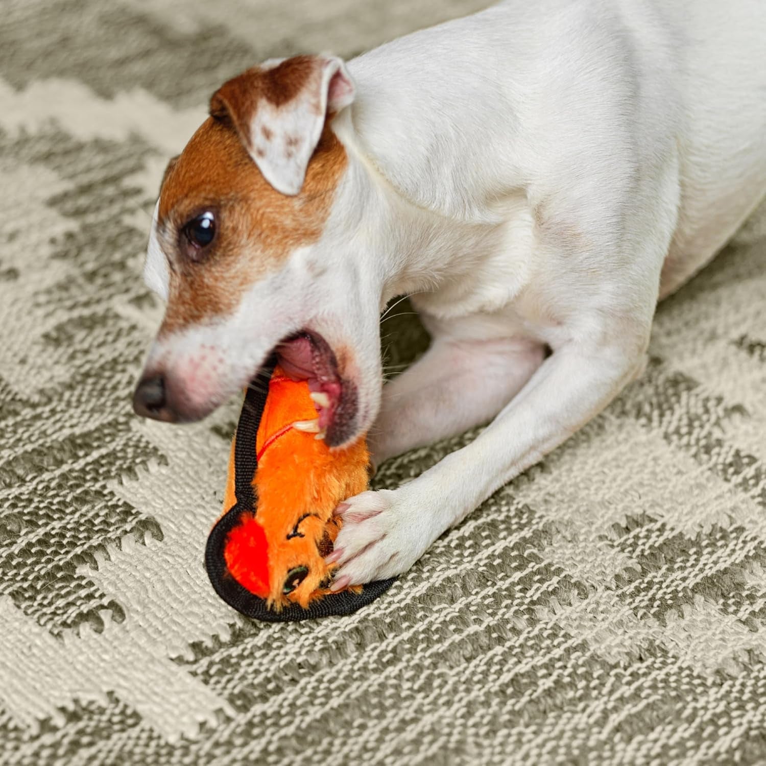 outward-hound-durablez-minis-stuffing-free-squeaky-plush-dog-toy-for-puppies-small-dogs-interactive-soft-yet-tough-no-mess-jumbo-squeaker-long-lasting-play-dog