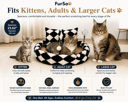 Furso Cat Bed Scratcher Lounge for Indoor Cats – Sisal Scratch Pad with Spring Treat Ball, Plush Pillow & Play Toy | Diamond Design | Protects Furniture11