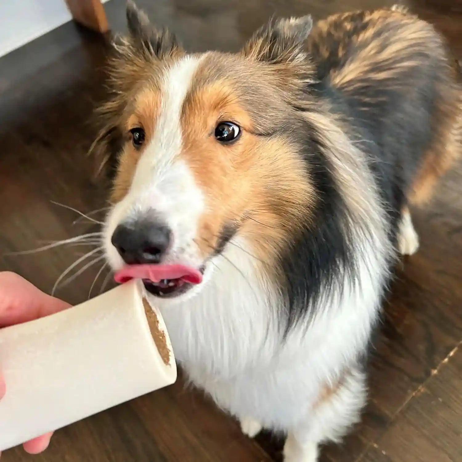 cadet-stuffed-shin-bone-long-lasting-dog-chew-bones-for-aggressive-chewers-high-protein-filled-bone-dental-chew-for-dogs-peanut-butter-flavor-filling-3-4-for-small-dogs-3-pack