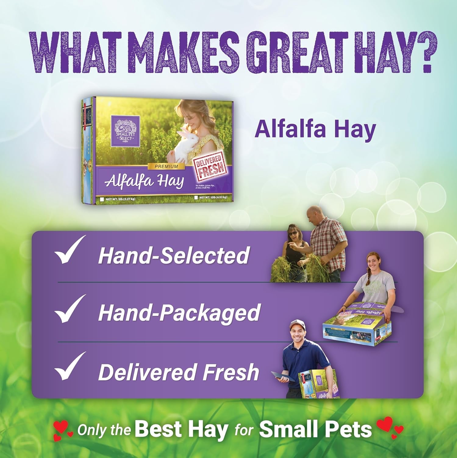 small-pet-select-alfalfa-hay-pet-food-for-young-rabbits-guinea-pigs-chinchillas-tortoises-and-other-small-animals-easy-to-store-box-5-lb