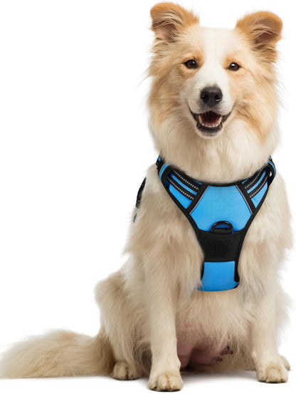 Rabbitgoo Dog Harness, No Pull for Large Dogs with 2 Leash Clips, Pet Vest | No Choke with Handle, Adjustable Soft Padded, Reflective, Easy Control for Walking, Black, Large56