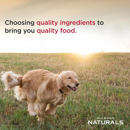 Diamond Naturals Small & Medium Breed Puppy Dry Dog Food, Chicken, 6Lb | Puppy, Adult & Senior Dogs | High Protein | DHA for Proper Brain and Vision Development | Guaranteed Probiotics5