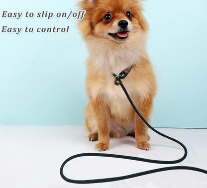 Wyuze 8FT Slip Lead Dog Leash Adjustable Slip Collar Puppy Training Lead | 2 Pack 1/3" Reflective Rope Leash, Lightweight Easy Use for Small Medium Dogs, No-Pull Walking, Black Orange5