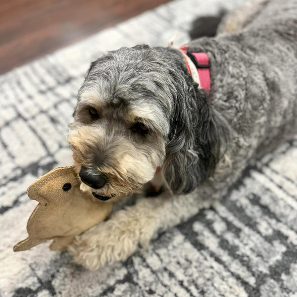 SPOT Dura-Fused Leather Rabbit Dog Toy – Durable Real Leather & Jute Chew Toy with Squeaker, Double-Stitched for Moderate Chewers, Small & Medium Dogs, 7.5In8