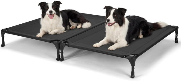 Veehoo Cooling Elevated Dog Bed, Raised Dog Bed for Two Dogs, Indoor Outdoor Pet Cot with Breathable Teslin Mesh & Anti-Slip Rubber Feet, Durable Double Dog Bed for Multi-Pet Homes, 35" X 25", Black1