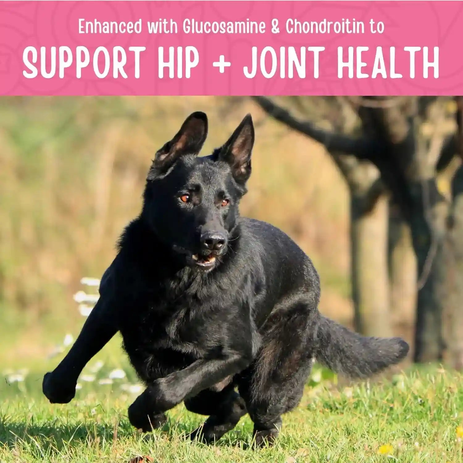 full-moon-chicken-jerky-healthy-all-natural-dog-treats-human-grade-for-hip-and-joint-12-oz-made-withchondroitin-glucosamine-and-turmeric-human-grade-no-corn-no-wheat-no-soy-glycerin-free-made-in-the-usa