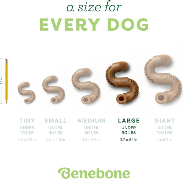 Benebone Tripe Bone Durable Dog Chew Toy for Aggressive Chewers, Real Tripe, Made in USA, Large4