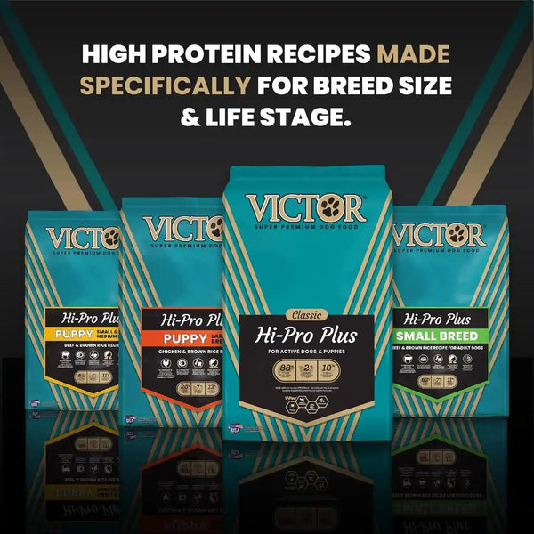 VICTOR Super Premium Dog Food – Hi-Pro plus Dry Kibble – High Protein Dog Food with 30% Protein – Beef, Chicken, Pork, Fish Meals, Gluten Free - for High Energy and Active Dogs & Puppies, 40Lbs11