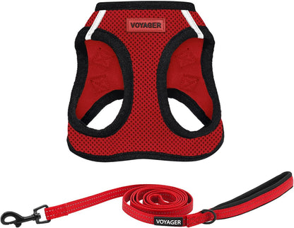 Best Pet Supplies Voyager Step-In Air All Weather Mesh Harness and Reflective Dog 5Ft Leash Combo with Neoprene Handle, for Small, Medium and Large Breed Puppies - Baby Blue, Small22