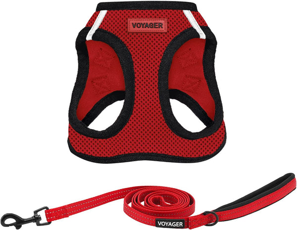 Best Pet Supplies Voyager Step-In Air All Weather Mesh Harness and Reflective Dog 5Ft Leash Combo with Neoprene Handle, for Small, Medium and Large Breed Puppies - Baby Blue, Small22
