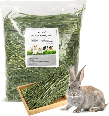 Timothy Hay, 1.1LB Small Pet Feed | Dust-Free, Natural Fresh Green Hay, Suitable for Rabbits, Guinea Pigs, Chinchillas, Tortoises1