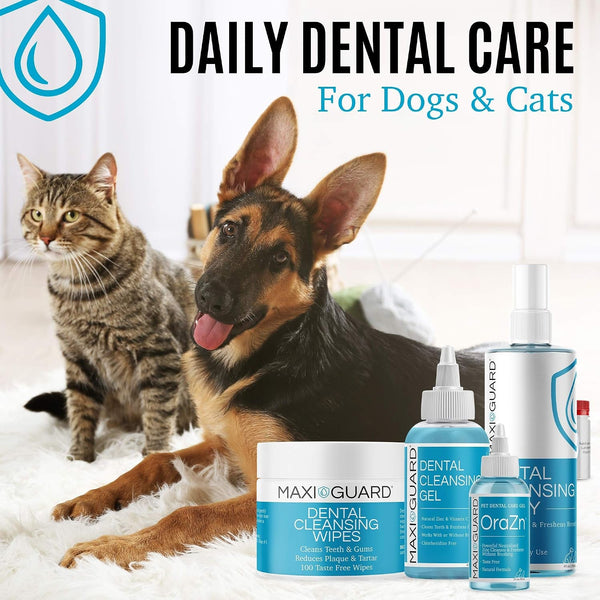 MAXI/GUARD Dental Cleansing Wipes for Dogs, Cats, Horses and Companion Animals (100 Wipes), Light Blue/White5