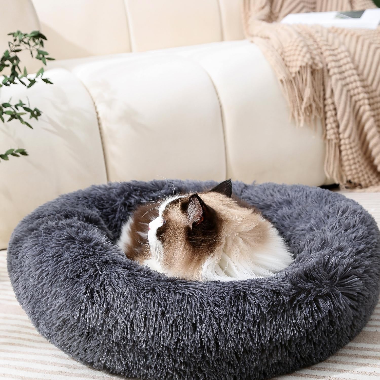 calming-donut-cat-bed-dog-bed-round-plush-pet-bed-fluffy-rabbit-cave-warm-dog-couch-non-slip-bottom-for-pets-furniture-up-to-5kg