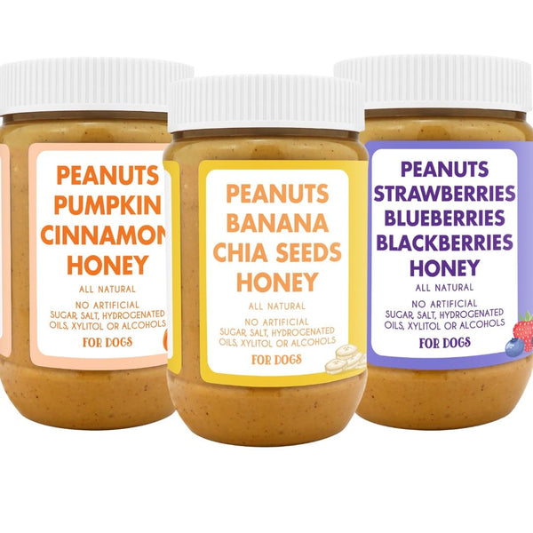 Bark Bistro Company, Superberry Snoot + Barkin Banana + Pumpkin Pup, 100% Natural Dog Peanut Butter, Healthy Dog Treats - Made in USA (Set of 3 / 17Oz)3
