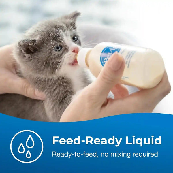 Petag KMR Kitten Milk Replacer Liquid - 16 Oz - Ready-To-Feed Formula with Vitamins for Newborn Kittens to 1 Year - Easy to Digest5