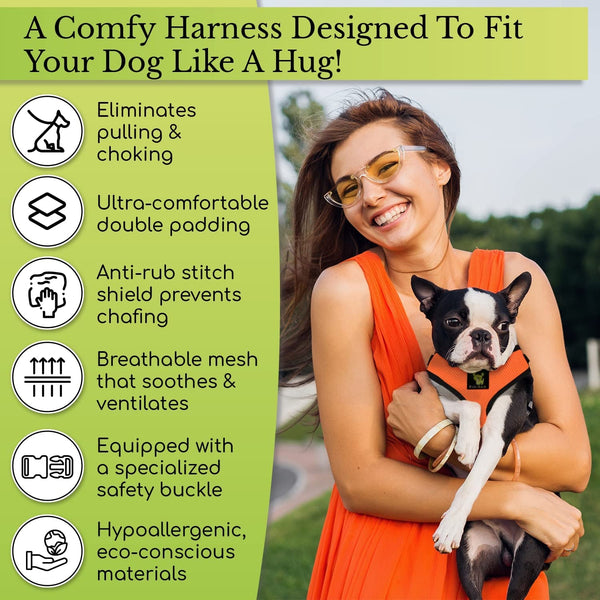 Ecobark Dog Harness, Soft Mesh over the Head Vest Harness, Red, Small | Luxurious Eco Friendly No Pull & No Choke Design, Padded Breathable Body Halter, anti Rub, for Puppy, Toy & Small Breeds3