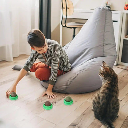 CCINEE 3PCS Catnip Balls for Cats Wall Catnip Toys Edible Cat Toys for Cat Lick Safe Healthy Kitten Chew Toys Teeth Cleaning Dental Cat Toys7