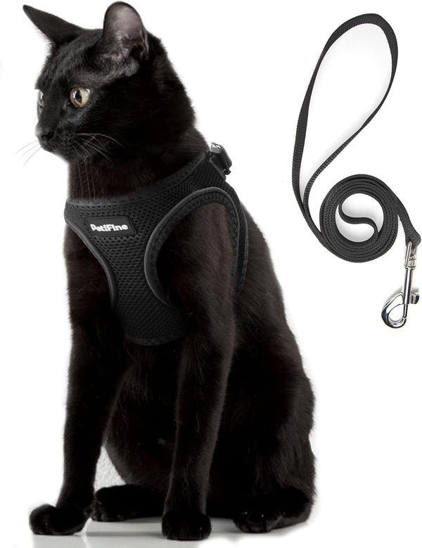 Small Dog Harness and Leash Set Breathable Step-In Puppy Cat Harness,Xs | Reflective for Safe Easy Walking,Soft Light Puppy Vest,Escape Proof,No Pull Harness for Dogs,All Weather Air Mesh Harness13