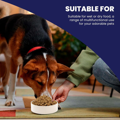 SPOT Ceramic Stoneware- Pet Bowl for Medium and Large Dogs, Classic Heavy Duty Non-Slip Ceramic Bowl for Food and Water - 7.5In Diameter3