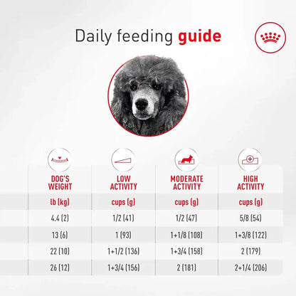 ROYAL CANIN Breed Breed Health Nutrition Poodle Adult Dry Dog Food9