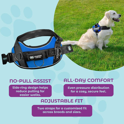 Joyride Dog Harness 2.0 | No-Pull | Blue 2.0 | M | Reflective No-Choke Quick-Fit Vest with 3 Leash Clips and Escape-Resistant Design for Easier Walks and Training6