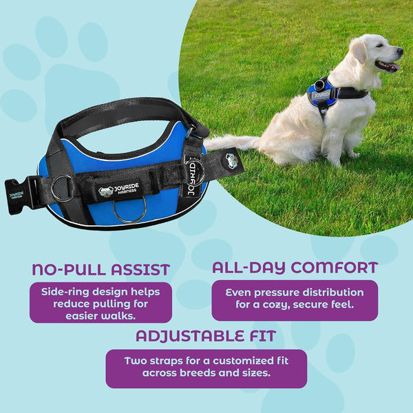 Joyride Dog Harness 2.0 | No-Pull | Blue 2.0 | M | Reflective No-Choke Quick-Fit Vest with 3 Leash Clips and Escape-Resistant Design for Easier Walks and Training6