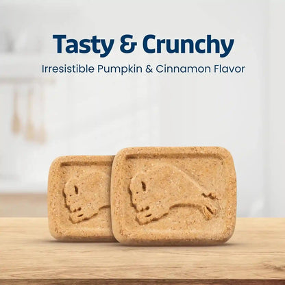 Blue Buffalo Health Bars Pumpkin & Cinnamon Crunchy Dog Biscuits, Oven-Baked with Pumpkin & Natural Ingredients, Healthy Dog Treats with No Artificial Flavors or Preservatives, 16 Oz.8