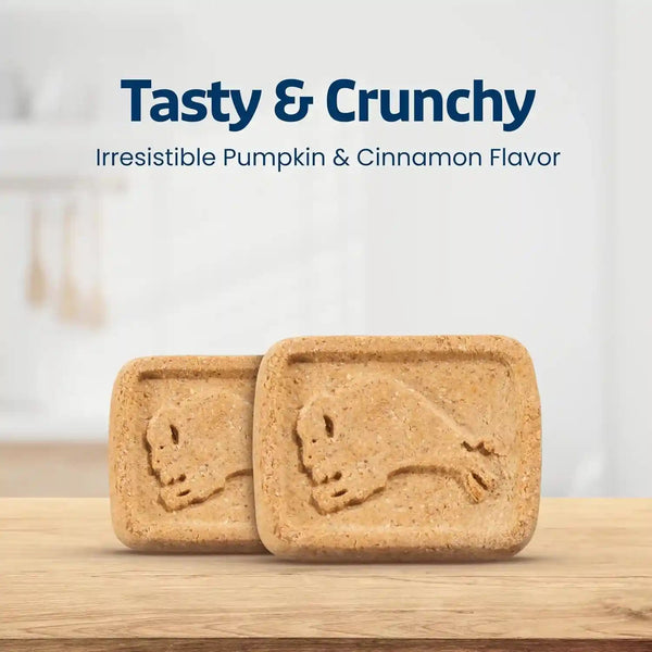 Blue Buffalo Health Bars Pumpkin & Cinnamon Crunchy Dog Biscuits, Oven-Baked with Pumpkin & Natural Ingredients, Healthy Dog Treats with No Artificial Flavors or Preservatives, 16 Oz.8